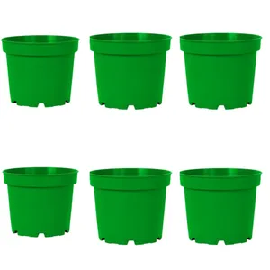 گلدان مدل پاچیرا 14cmبسته 6عددی