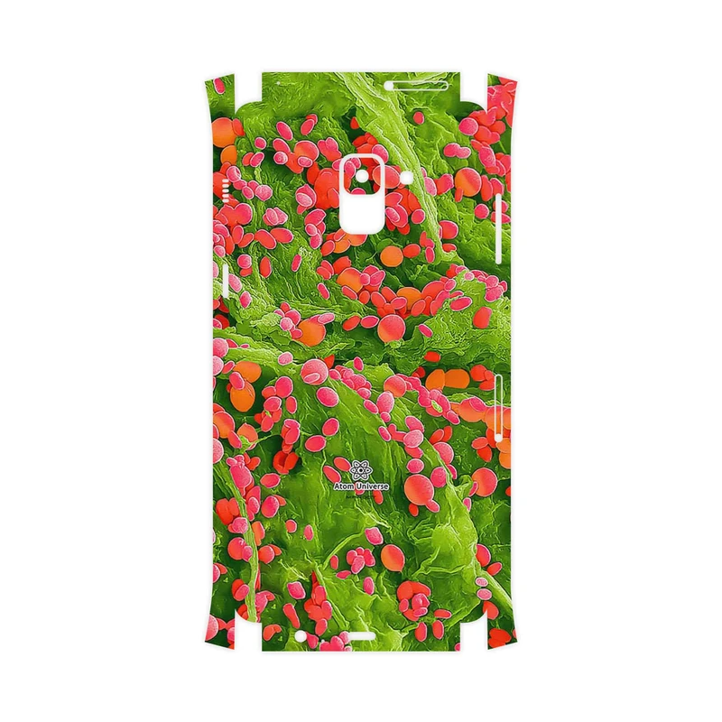 برچسب پوششی ماهوت مدل Atom Universe 3-FullSkin مناسب برای گوشی موبایل سامسونگ Galaxy A8 Plus 2018