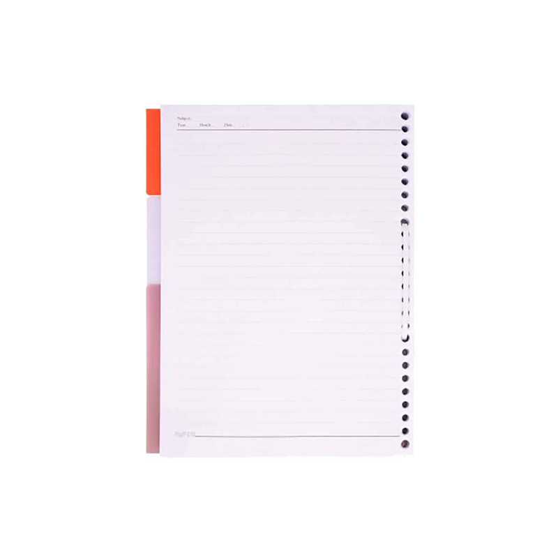 کاغذ کلاسور پاپکو کدDR227 بسته 100 عددی