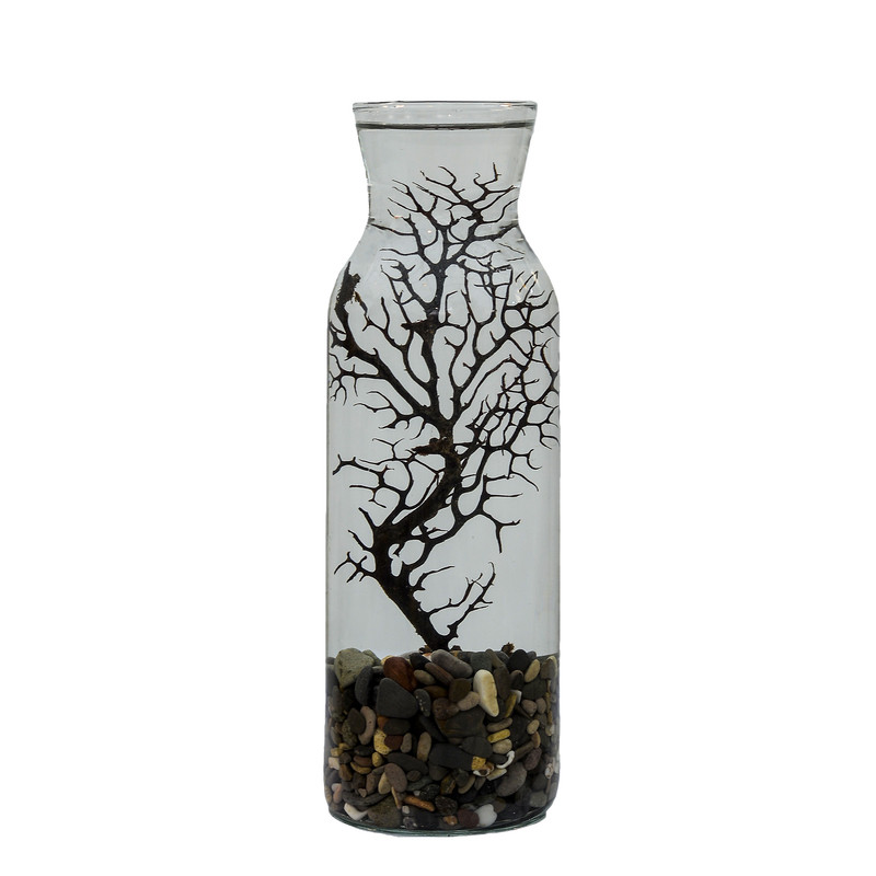 مرجان طبیعی کد M3 مرجان طبیعی کد M3