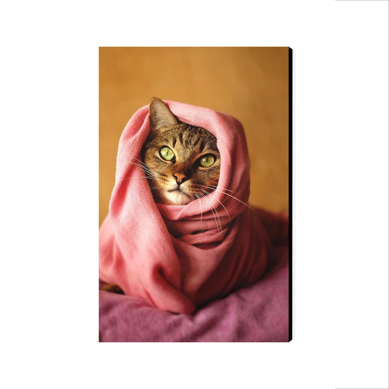 تابلو شاسی عرش مدل فانتزی گربه کد As2036