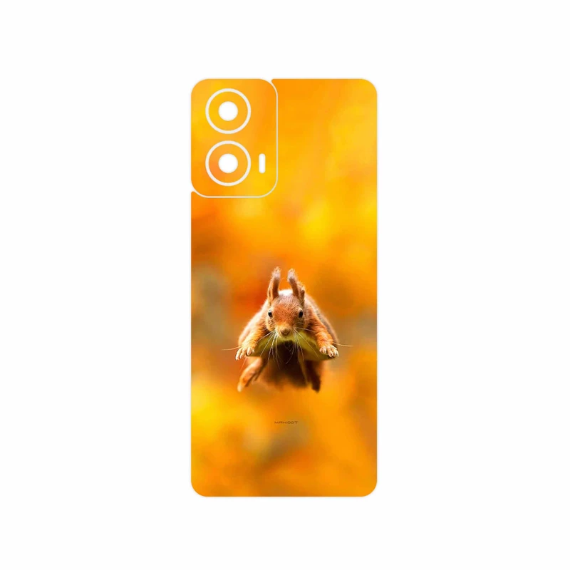 برچسب پوششی ماهوت مدل Squirrel مناسب برای گوشی موبایل موتورولا Moto G24