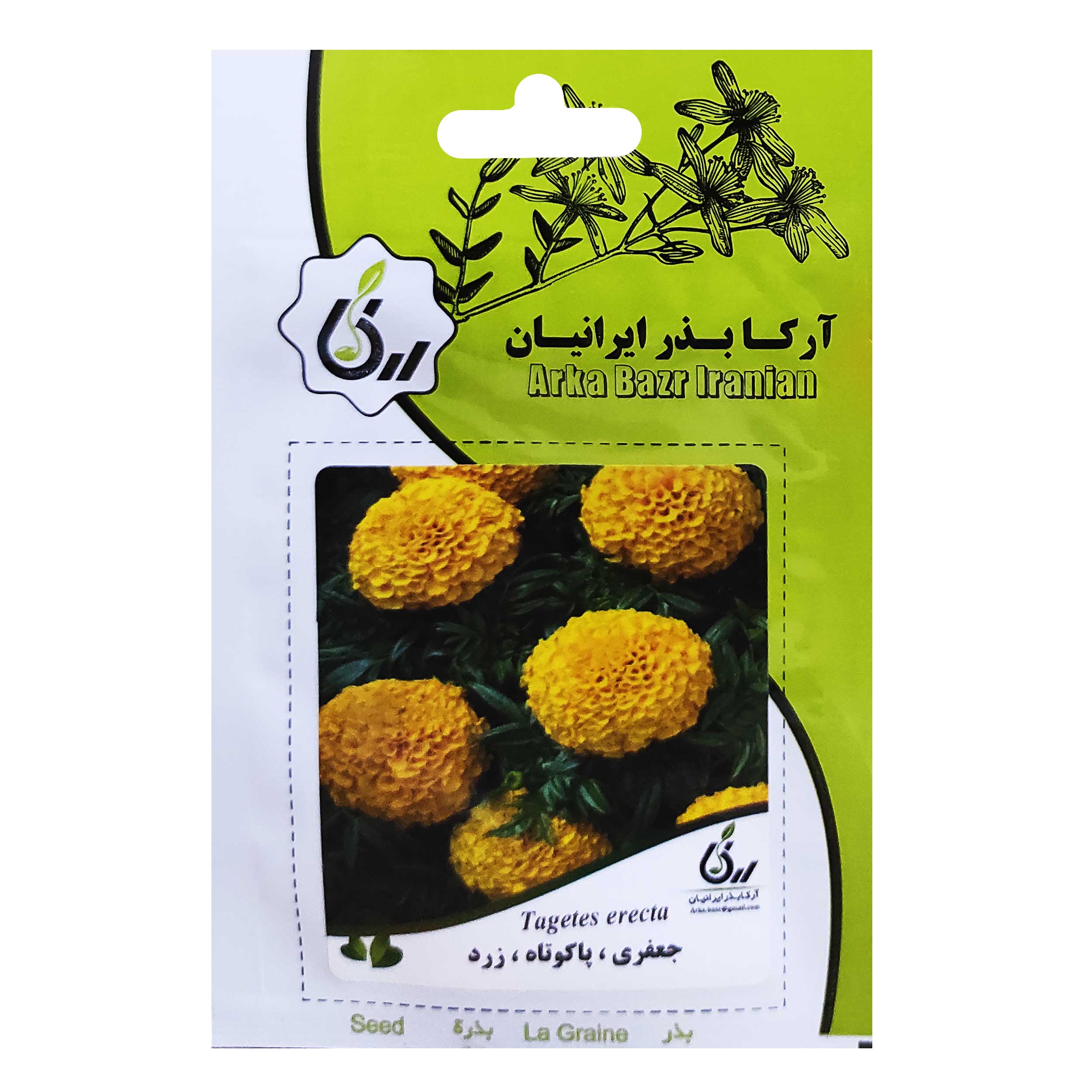 بذر گل جعفری پاکوتاه زرد آرکا بذر ایرانیان کد ARK-011 