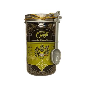 نقد و بررسی چای سبز ممتاز گل جیل - 60 گرم توسط خریداران