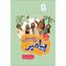 کتاب پیامبر و قصه هایش اثر غلامرضا حیدری ابهری نشر جمال جلد دوم