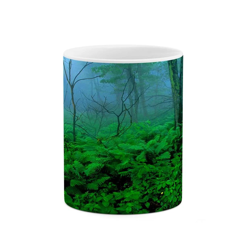 ماگ کاکتی مدل جنگل کد mgh12142