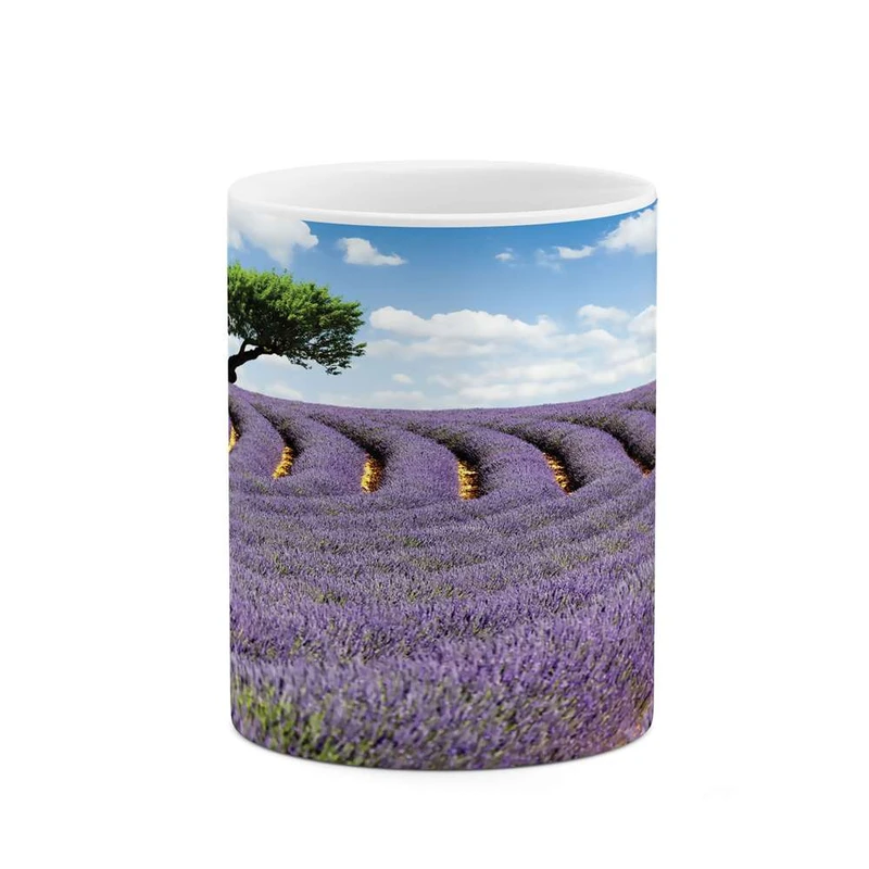 ماگ کاکتی مدل مزرعه گل کد mgh10171