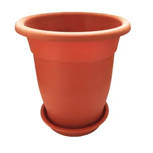Golpooneh Benjamin 317 Plant Pot