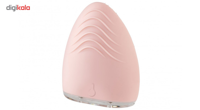 برس پاکسازی صورت هومدیکس مدل FAS-310-EU