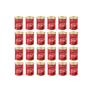 رب گوجه فرنگی روژین مقدار 400 گرم بسته 24 عددی