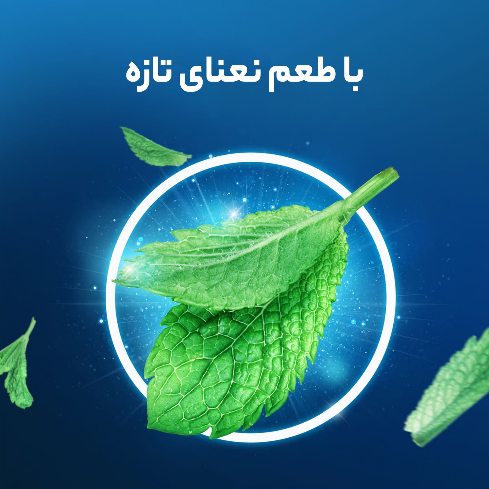 خمیر دندان اورال-بی سری Pro-Expert All Around Protection مدل Clean Mint حجم 75 میلی لیتر -  - 11