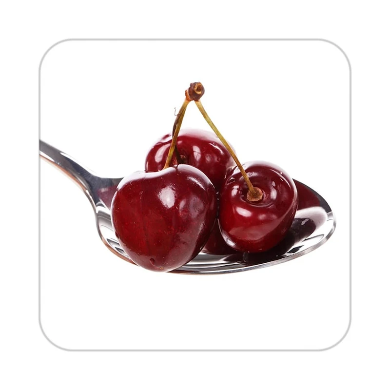 زیر لیوانی کاکتی طرح میوه مدل mp20467