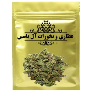 دمنوش بادرنجبویه -75 گرم