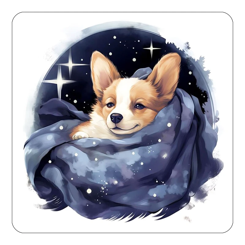 مگنت کاکتی طرح شازده کوچولو مدل mp36022