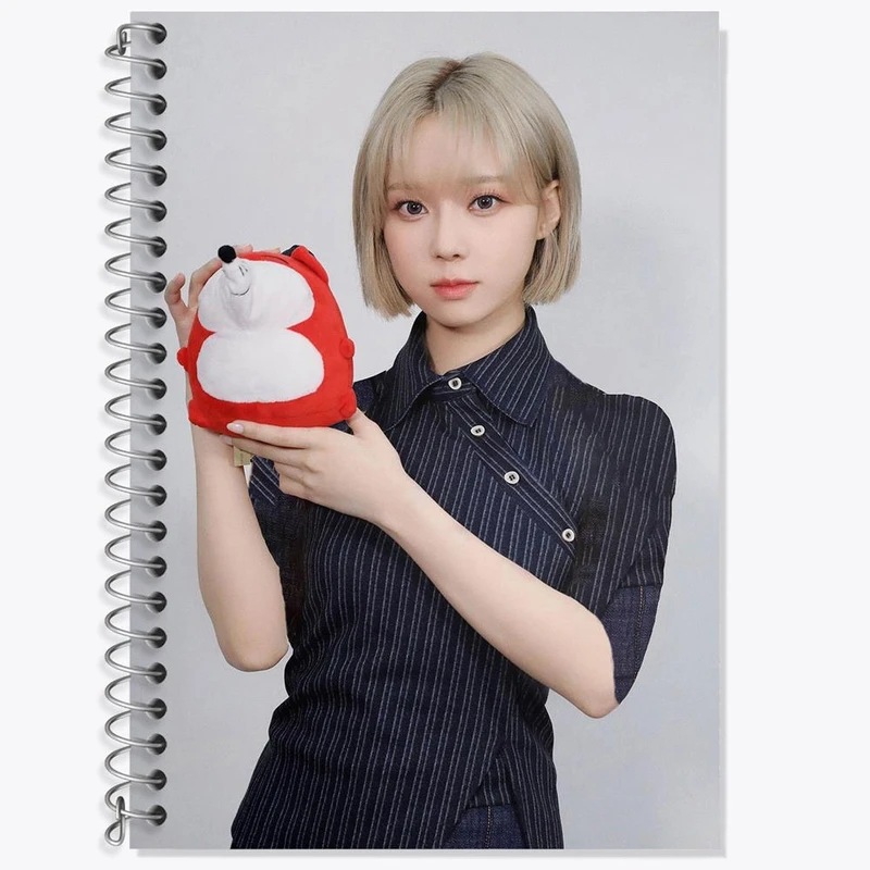 دفتر زبان 50 برگ خندالو مدل دو خط طرح وینتر گروه آسپا Aespa کد 19735