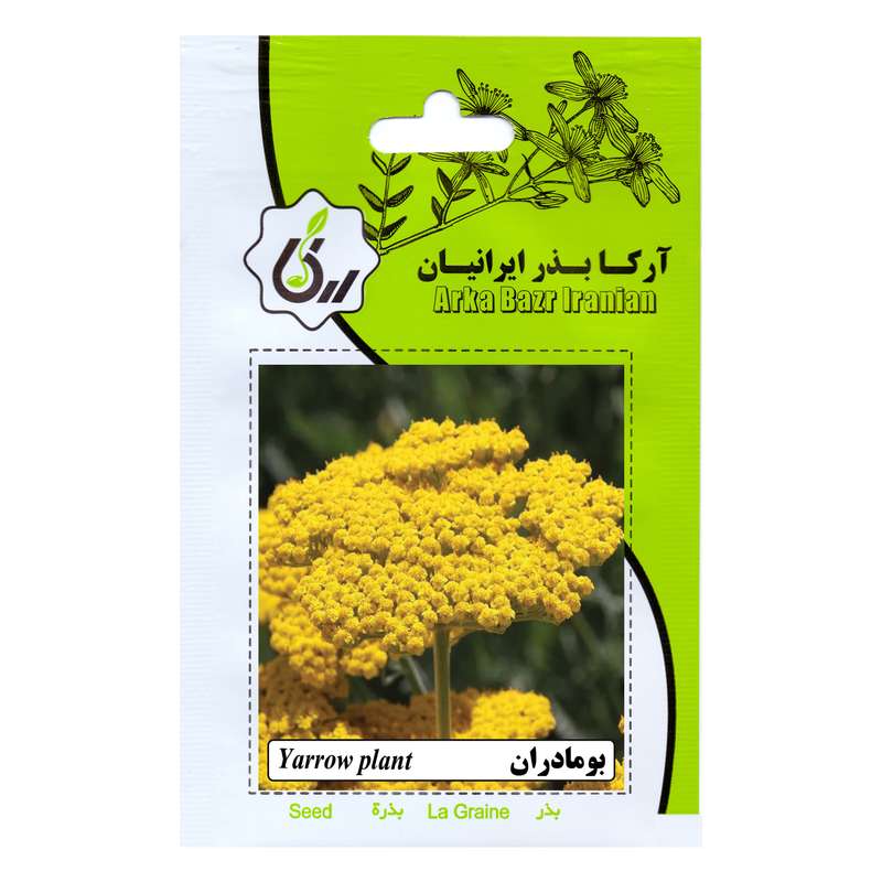 بذر گیاه دارویی بومادران آرکا بذر ایرانیان کد 200-ARK