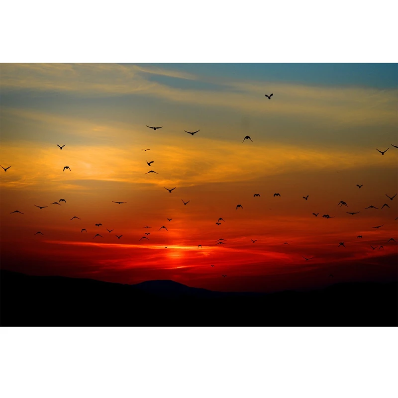 تابلو شاسی نگاتیو طرح 6039B