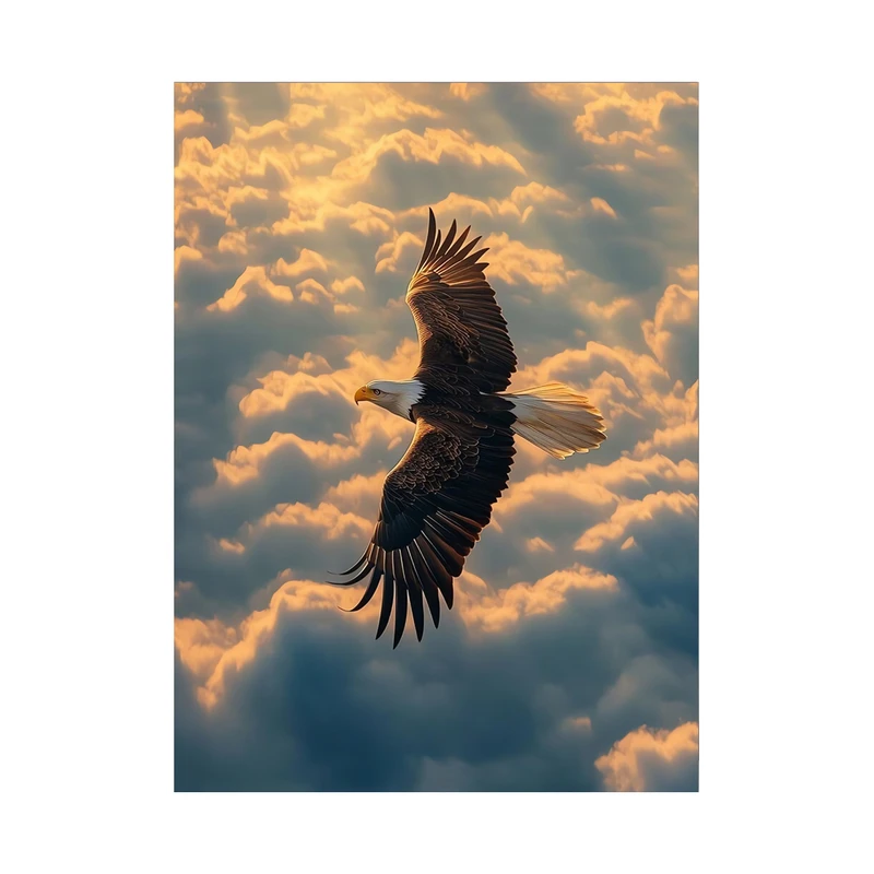 تابلو شاسی مدل عقاب TS65