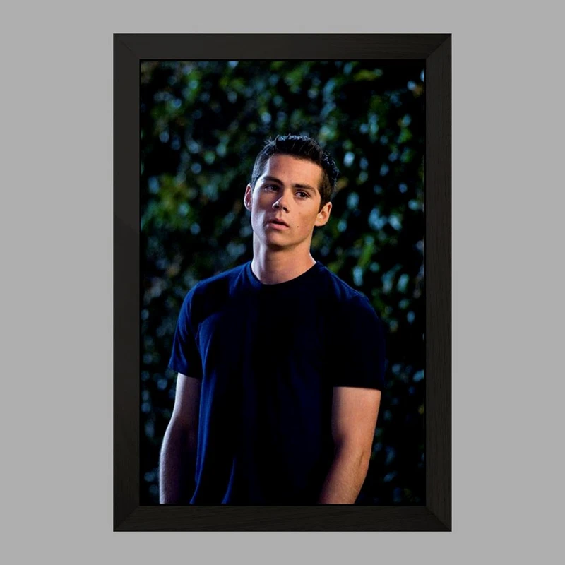 تابلو خندالو مدل استایلز استلینسکی سریال تین ولف Teen Wolf کد 28446