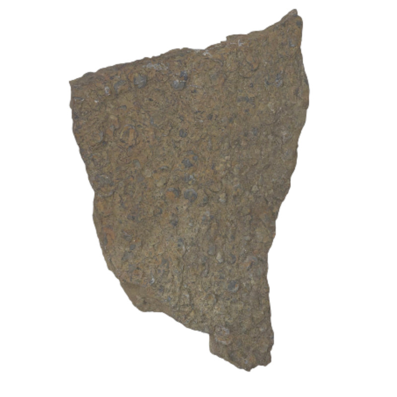 سنگ راف فسیل کد 03