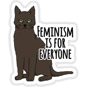 استیکر لپ تاپ طرح feminism is for everuone کد ST632