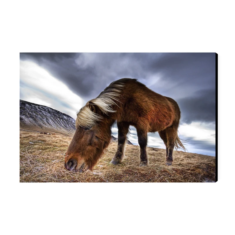 تابلو شاسی عرش مدل فانتزی اسب کد As4800