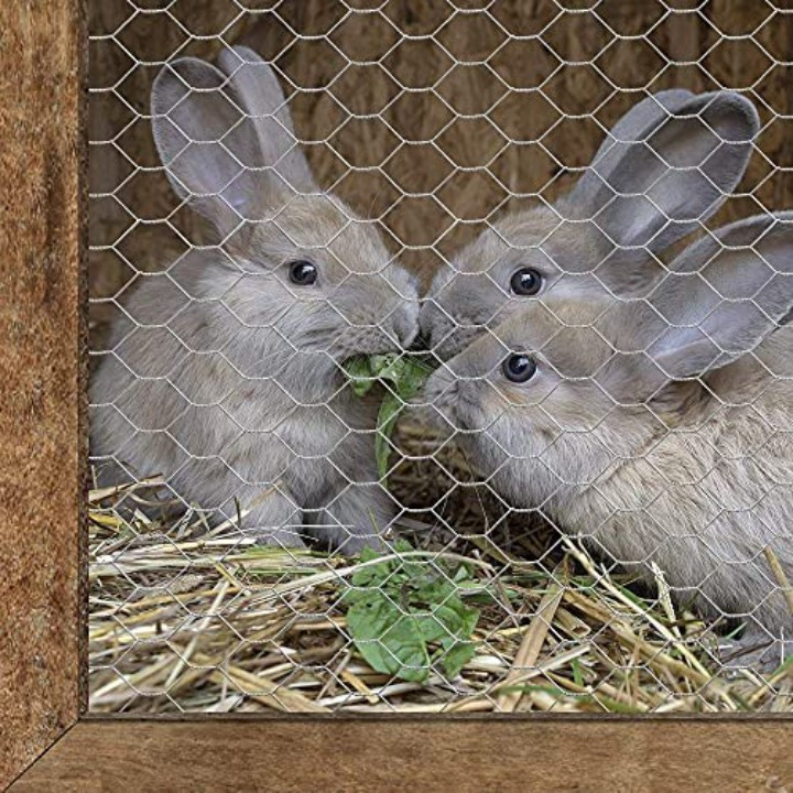 توری مدل فرنگی کد 18