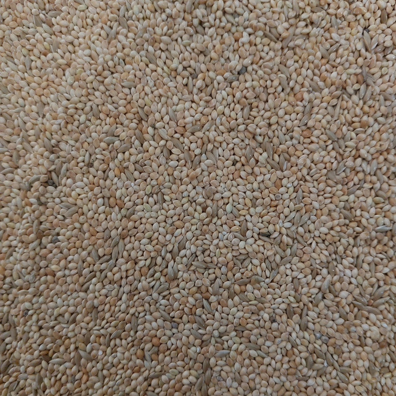 غذای پرندگان مدل ارزن و کتان وزن 2 کیلوگرم