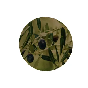 زیرقابلمه ای طرح زیتون کد 5010