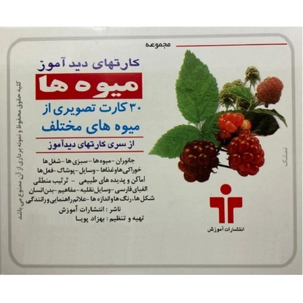 بازی آموزشی دیدآموز طرح میوه ها