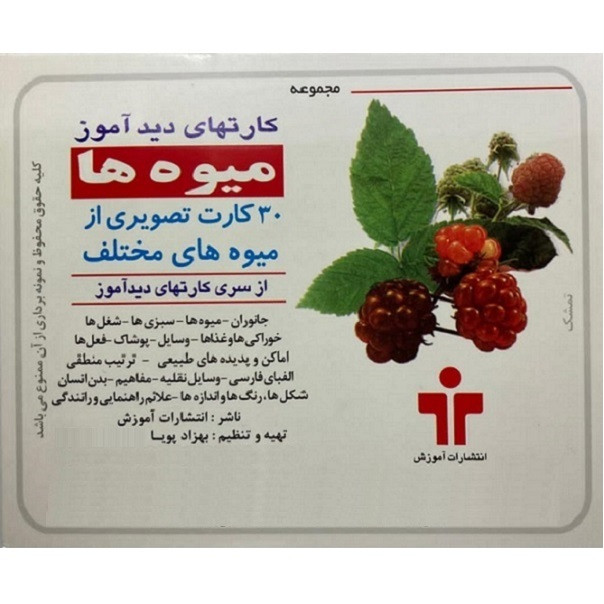 بازی آموزشی دیدآموز طرح میوه ها
