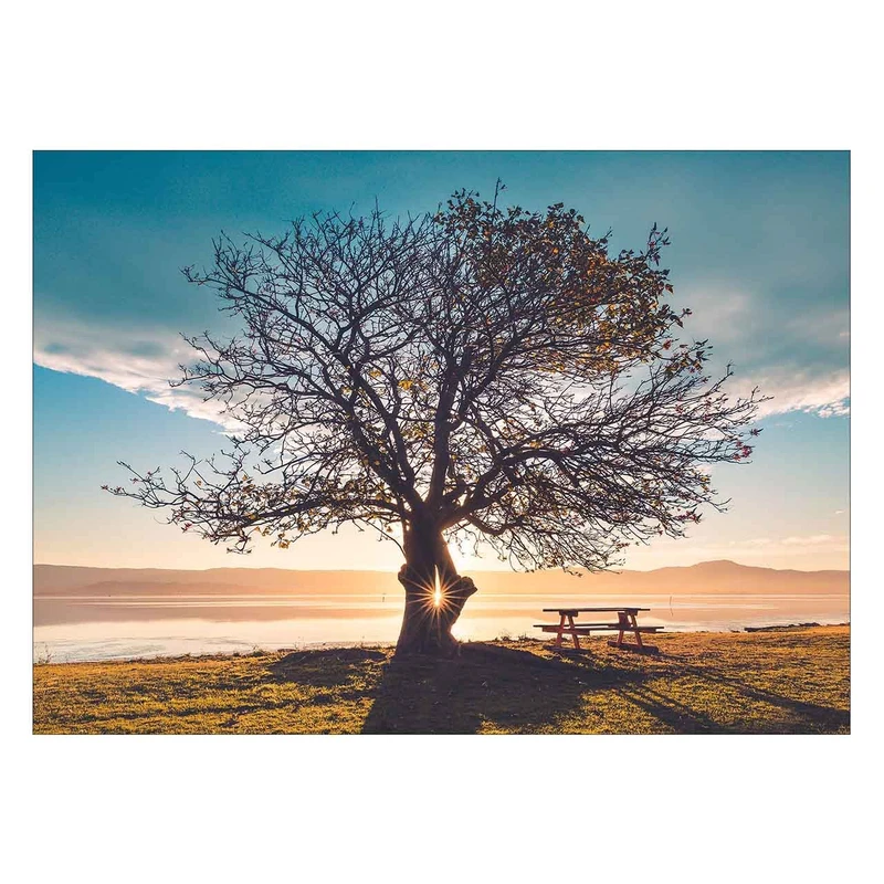 تابلو شاسی ونسونی طرح Trees Gap سایز 30x40 سانتی متر
