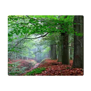 Elinor MPE278 Mousepad