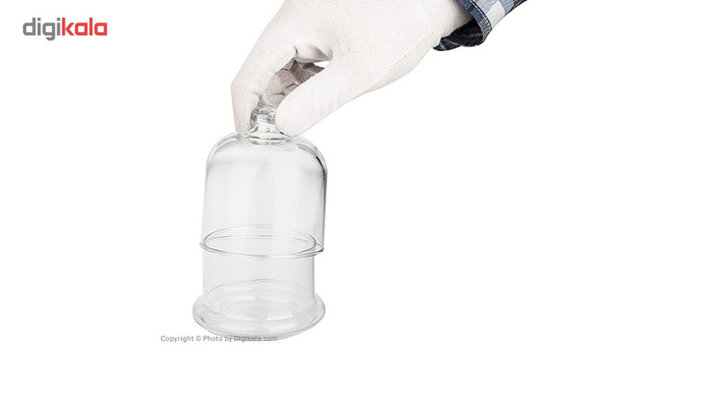 ظرف عسل پاشاباغچه کد 98973 بسته 2 عددی