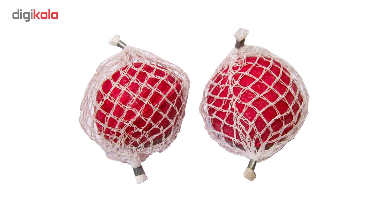 شوره گیر کولر معجزه گر طرح 1-بسته 2 عددی