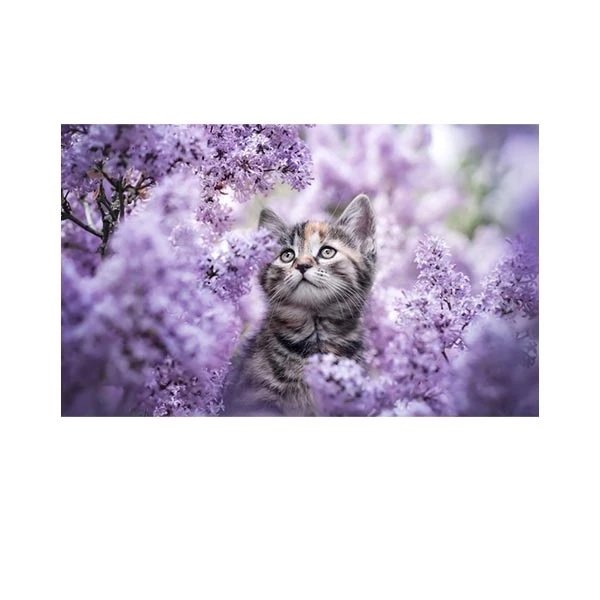   پادری مدل حیوانات کد HSHMA0029 سایز 76x46 سانتی متر