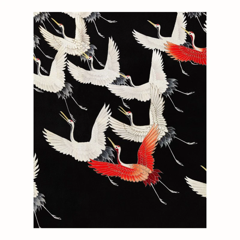 پوستر مدل مستر پرنده پروازی -تاکو قرمز سفید