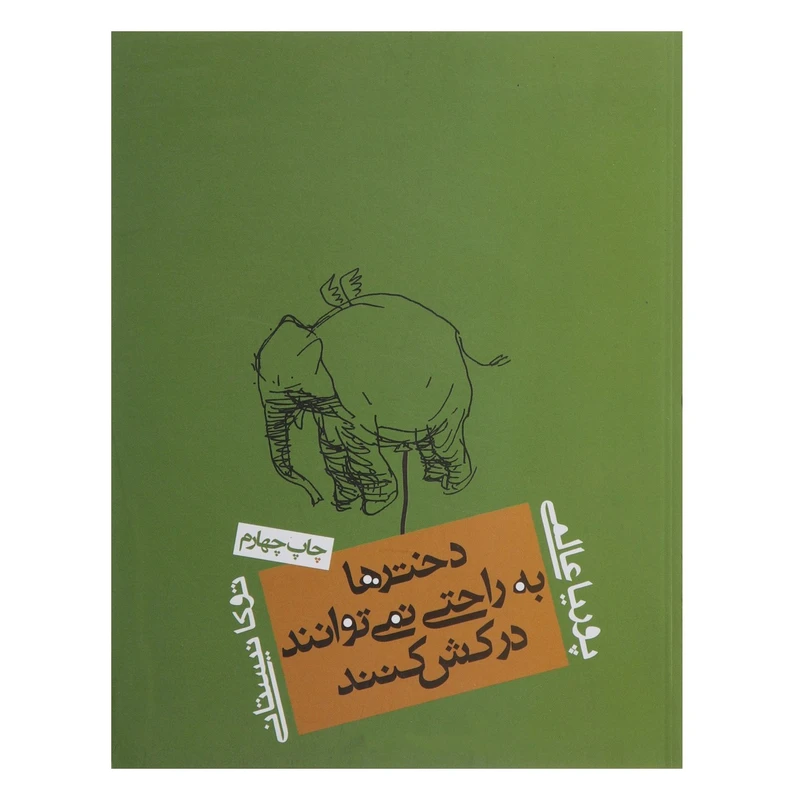 کتاب دخترها به راحتی نمی توانند درکش کنند اثر پوریا عالمی