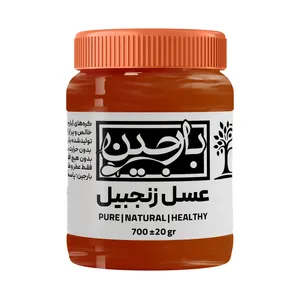 عسل زنجبیل عموعطار بارجین _ 700 گرم  