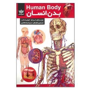 کتاب بدن انسان اثر کری لاو و کارولین استامپ انتشارات آغاز کتاب