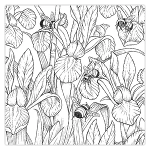 ZeeZip 949P20 Coloring Chassis Size 20x20 Cm