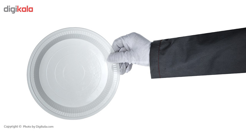 بشقاب یکبار مصرف کد 4630 بسته 20 عددی