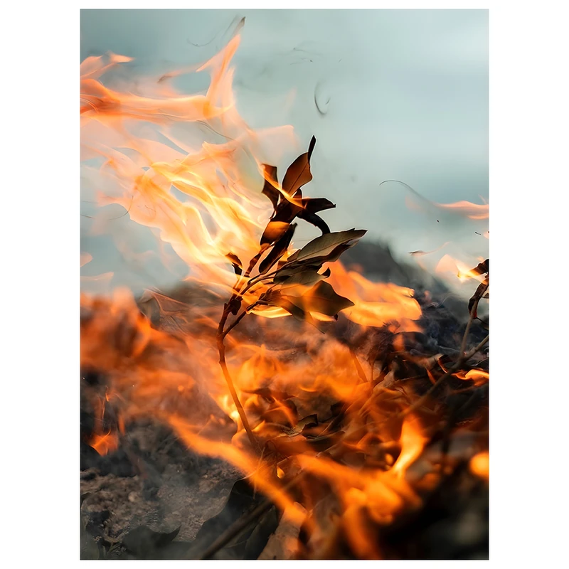 فرش پارچه‌ای مدل فرشینه طرح گل آتشین کد AR3059767