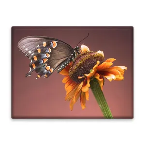 کاشی اطلس آبی طرح گل و پروانه مدل T5865