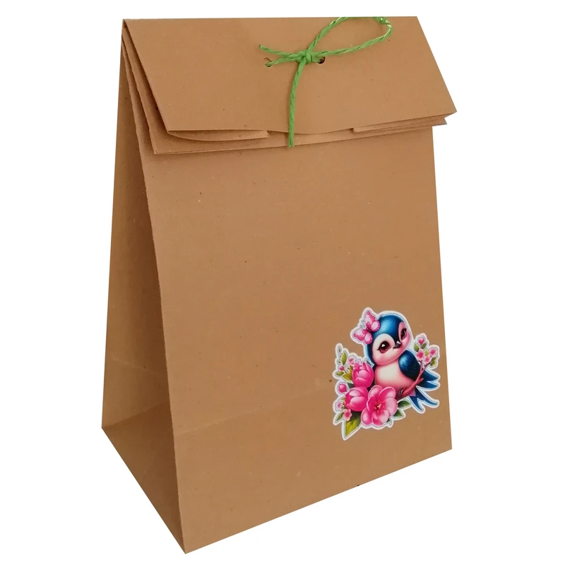 پاکت هدیه مدل عید نوروز و پرستو مجموعه 10 عددی