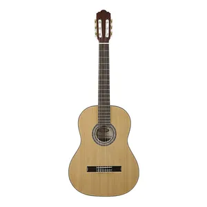 گیتار کلاسیک استگ مدل C547-N
