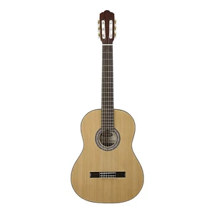 گیتار کلاسیک استگ مدل C547-N