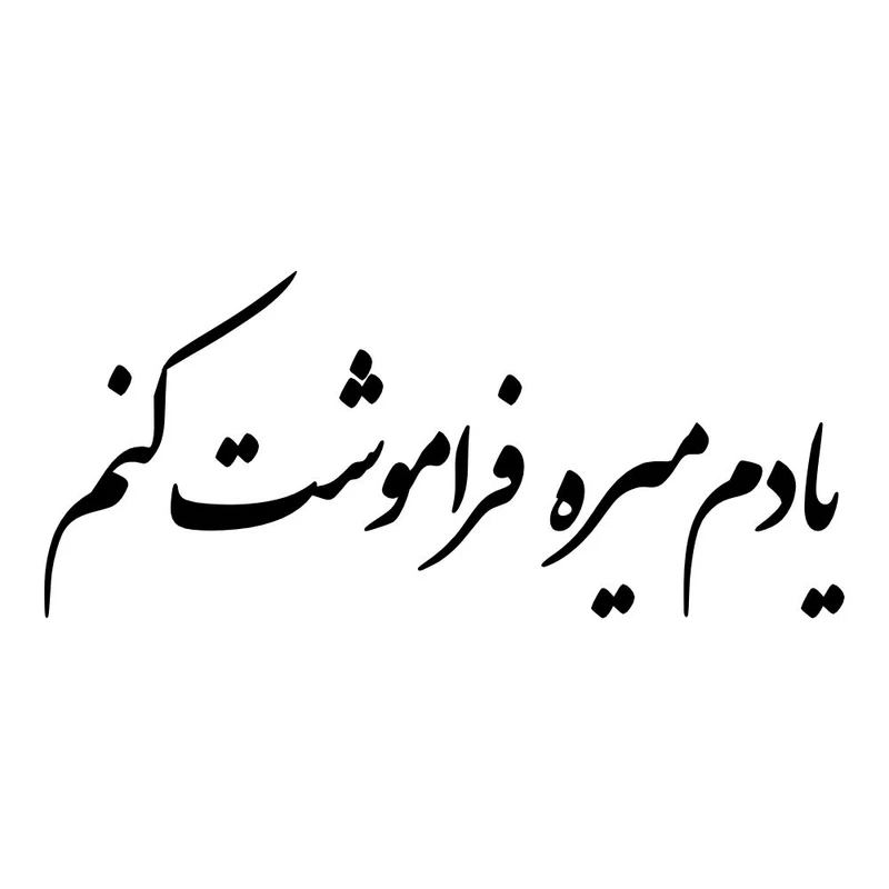 برچسب بدنه خودرو طرح یادم میره فراموشت کنم کد MT-B492