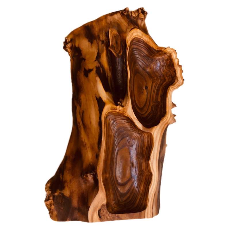 اردوخوري مدل روستيك