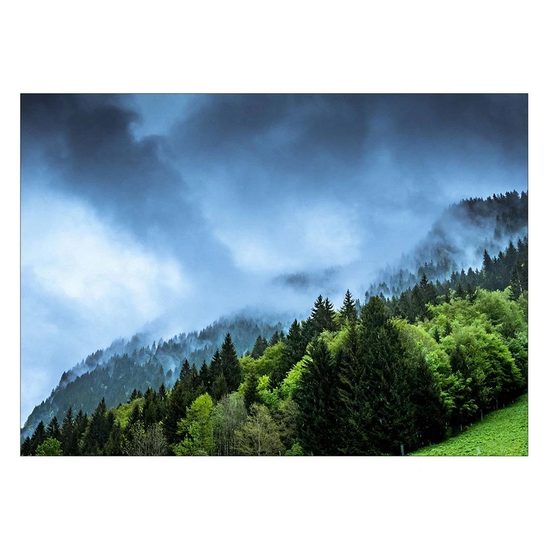 تابلو شاسی ونسونی طرح Green Woods سایز 30×40 سانتی متر